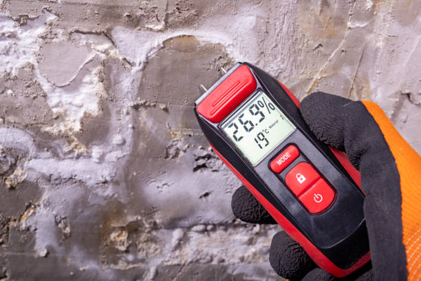 Best Mold Removal Company Near Me  in West Fargo, ND