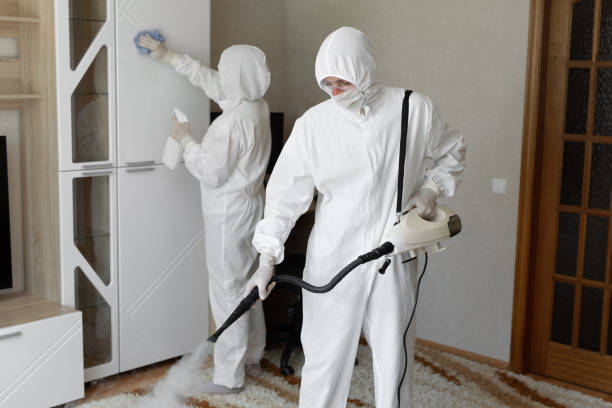Best Mold Removal Process  in West Fargo, ND