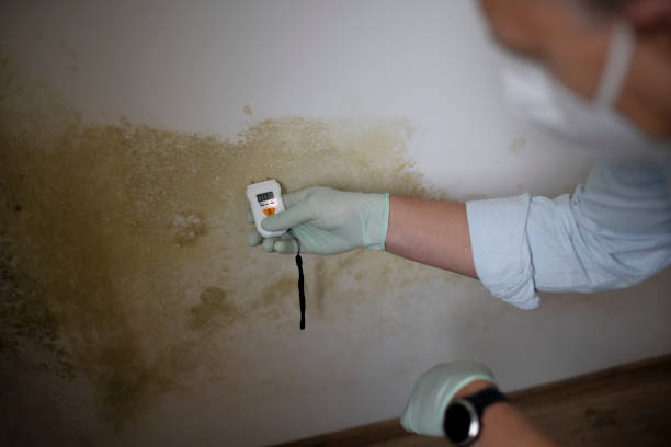 Certified Mold Removal in West Fargo, ND