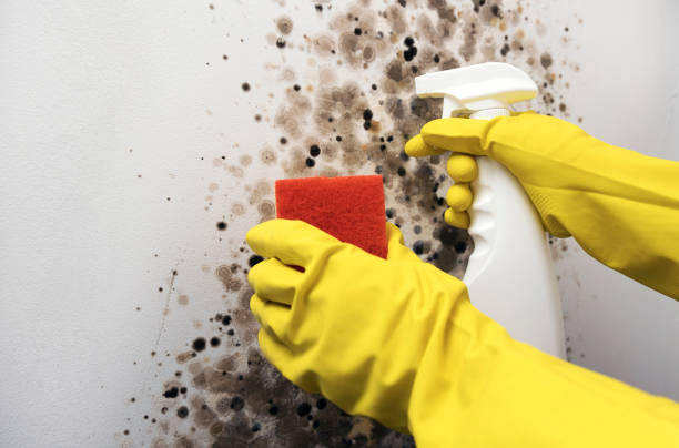 Crawl Space Mold Removal in West Fargo, ND